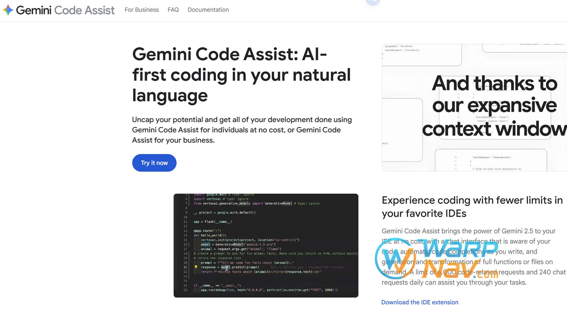Gemini Code