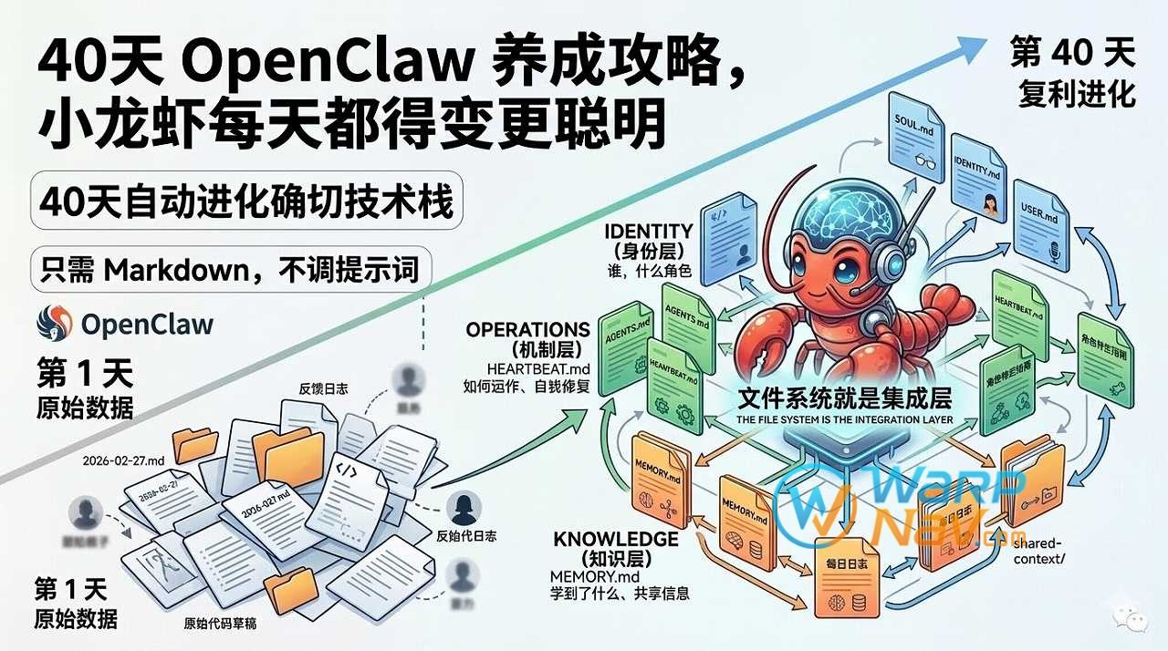 [译文]40天 OpenClaw 养成攻略，从零开始让小龙虾越用越聪明（实战经验+技术栈解析）