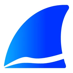 Wireshark – 网络协议分析与抓包工具