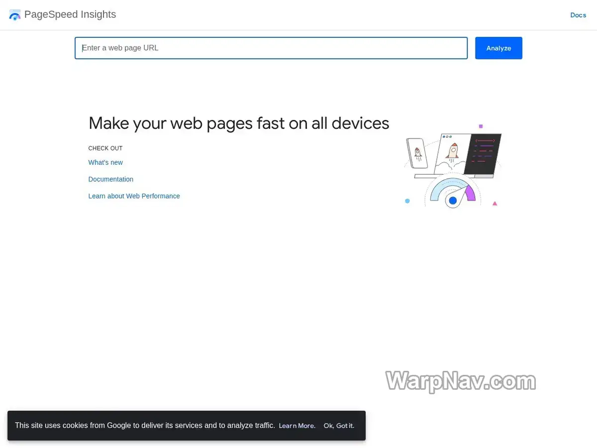 PageSpeed Insights
