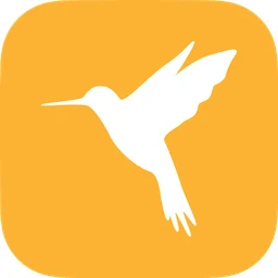 Reqable – API 抓包调试与接口测试工具